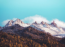 张宁CBA高光时刻回顾，对阵天津爆砍39分8篮板4助攻