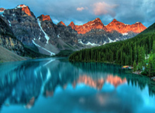 乐鱼：把海的鲜活带回家，开启健康美味的日常